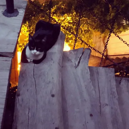 Cappadocia Cave House Ürgüp