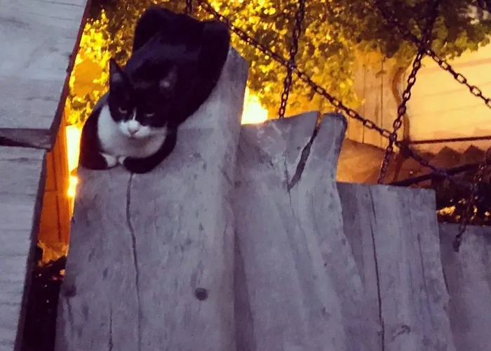 Cappadocia Cave House Ürgüp